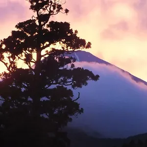 Hananoyado Fukuya יפן